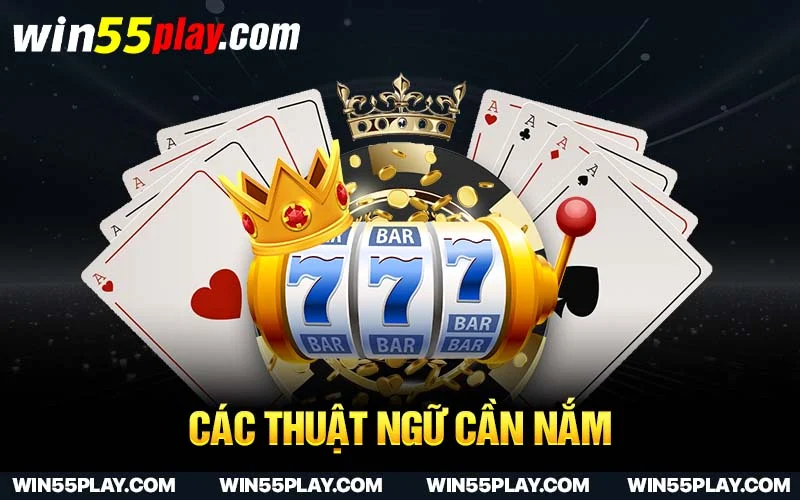 Các thuật ngữ cần nắm