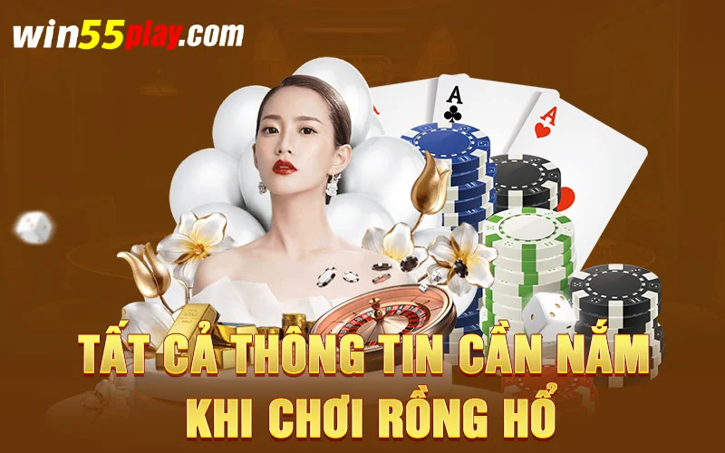 Tất cả thông tin cần nắm khi chơi rồng hổ