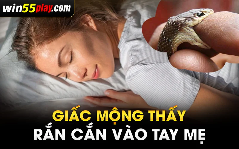 Giấc mộng thấy rắn cắn vào tay mẹ