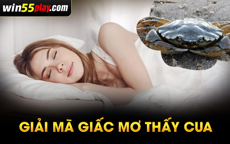 Giải mã giấc mơ thấy cua có ý nghĩa gì?