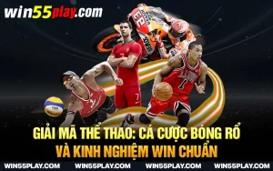 Giải mã thể thao: Cá cược bóng rổ và kinh nghiệm WIN chuẩn