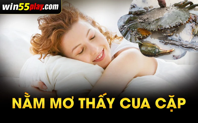 Nằm mơ thấy cua cặp