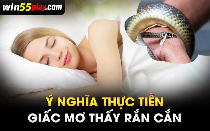 Ý nghĩa thực tiễn giấc mơ thấy rắn cắn